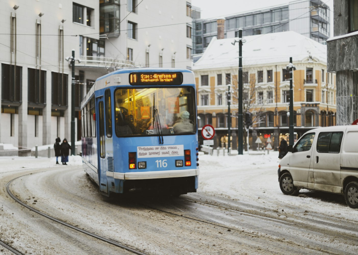 二十二粒沙与一片绿洲：疫情微光下的生命守望与治理韧性