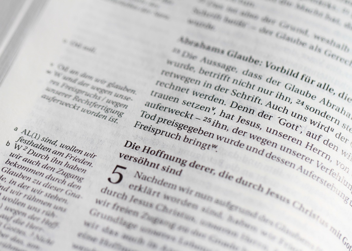 十二例新增，寒夜里的暖流与一座超大型城市的韧性