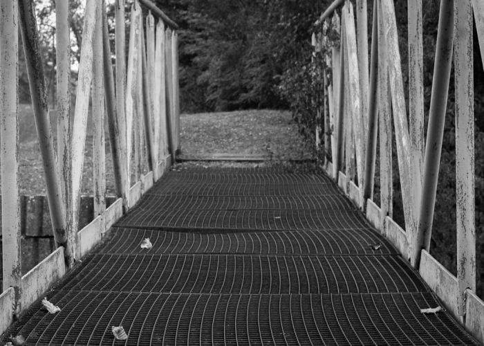 (精准防控下的坚韧与希望)、吉林市疫情最新情况通报 D