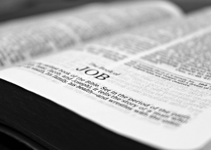 五日核酸凭证：日常生活的隐秘褶皱与一座省份的免疫系统集体编程