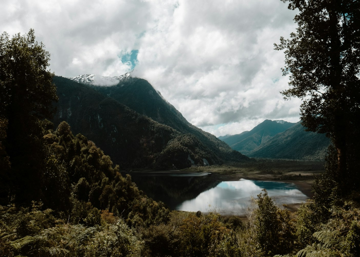 我们如何读懂数字迷雾¿；最新疫情31省市新增数据背后 O