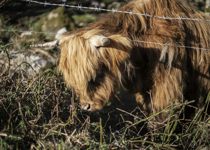 是14亿人的共同呼吸，数字背后，{31省新增本土确诊55例} 74