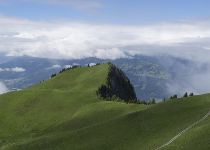 日增四万例的咳血之痛：俄罗斯疫情下的无声抗争与寒冬韧草