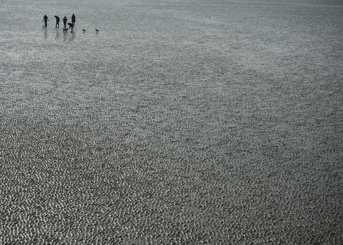 7天社会面清零：流动中国的防疫样本与现代性困局