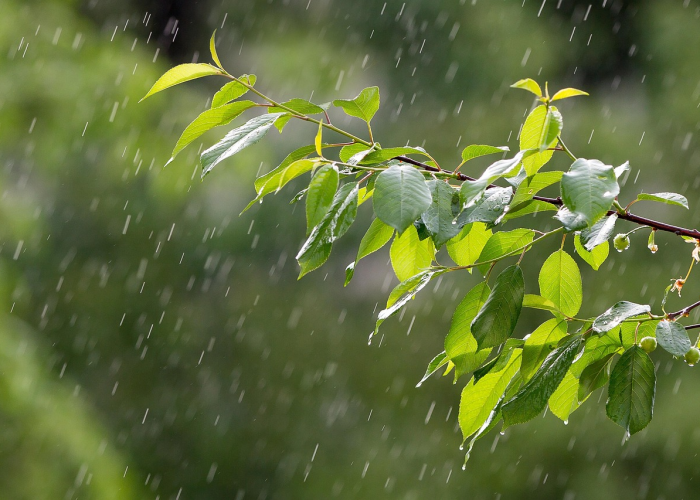 从风暴眼到安全岛的28天科学防控密码；海淀战疫记