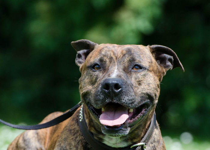 一场关于附近的重新发现；[非必要不出省不离市]