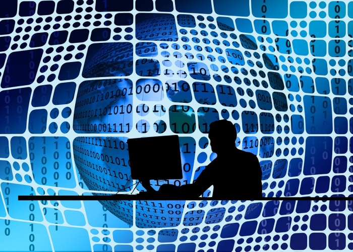 日均千万次查询：从包裹追踪到信任编织的现代物流经络图