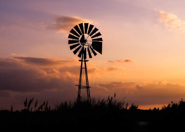 4例新增下的瞰海轩晨昏，免疫系统的集体叙事