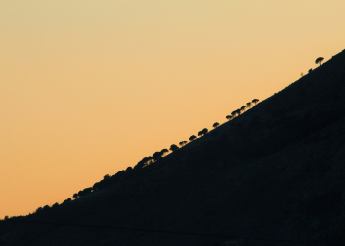 18天28个地点的迁徙：无名劳动者的生存史诗，都市免疫系统的微观试炼