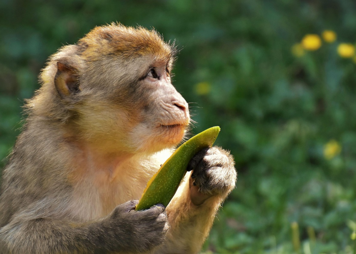 3000万监工下的推搡：压力裂缝中透出的人性光芒与国家脉搏