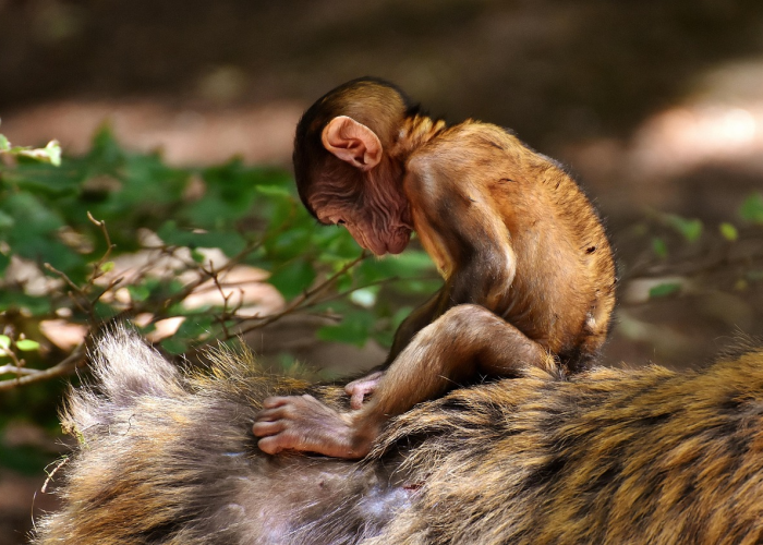 127例本土确诊背后的18个天津家庭——严冬里的生命防线：用温暖抵御病毒的无声战役