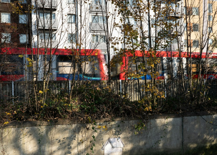 三例确诊下的城市脉搏，无声战场上的精准防控，公共卫生的长城