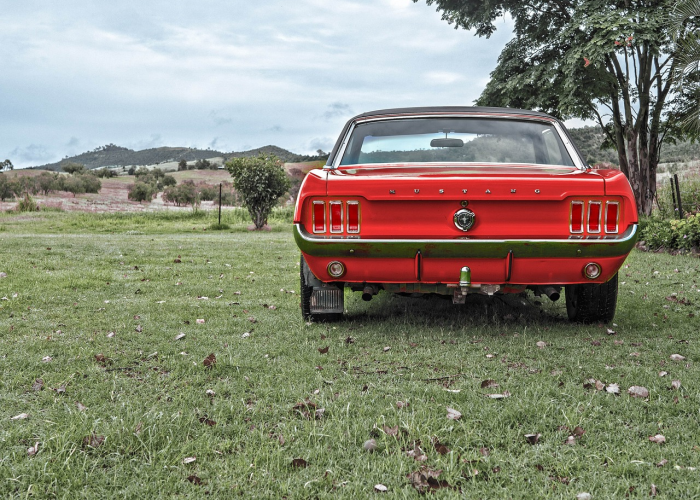 十日新增背后的守护：河北疫情下的微观战场与希望灯塔