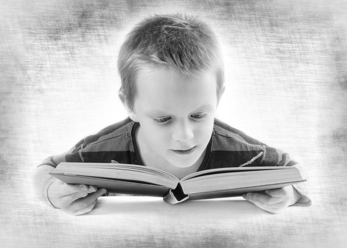 三日元旦：时光锚点与社会节律的温柔共振