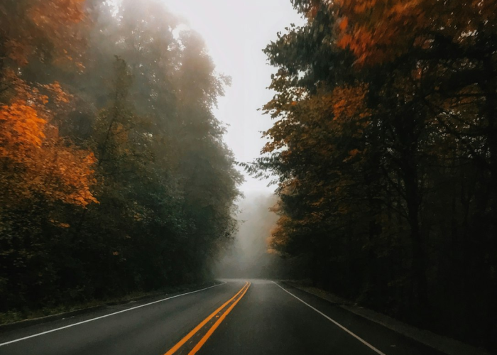 [藏着一座城的记忆密码],一条街的褶皱里,南昌市南京西路地图