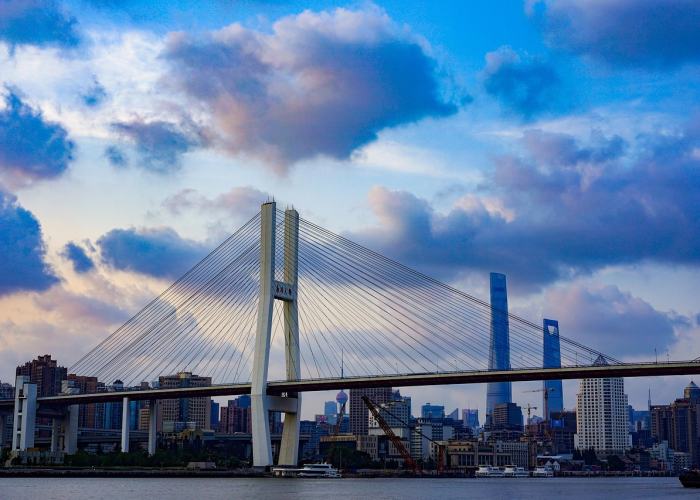 31省区市疫情图谱与韧性社会的构建,1150例本土确诊背后