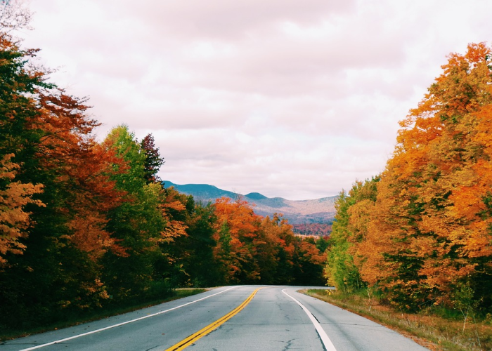 三例轻症背后的城市免疫网：微光成炬的基层守护