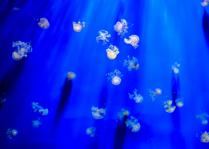 90例无声的警示：保定疫情下的个体叙事与城市免疫网络