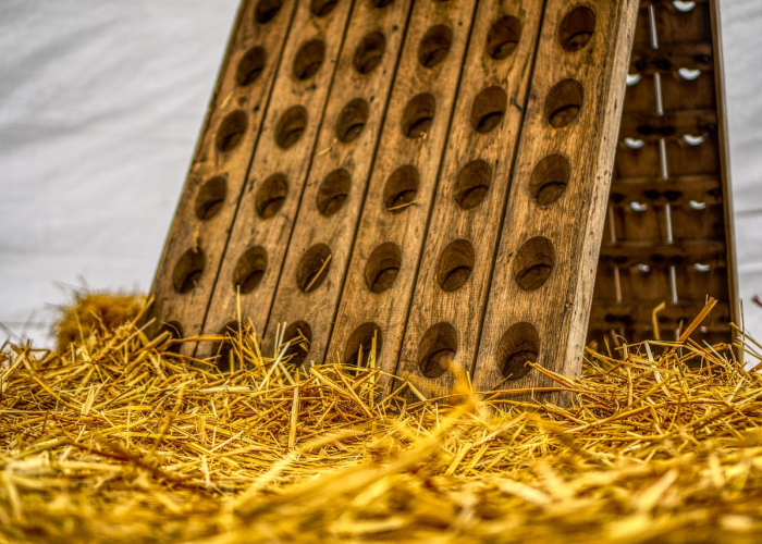 社会面清零与三十五例新增：一座古都的静默守望与生命曙光的宏大叙事