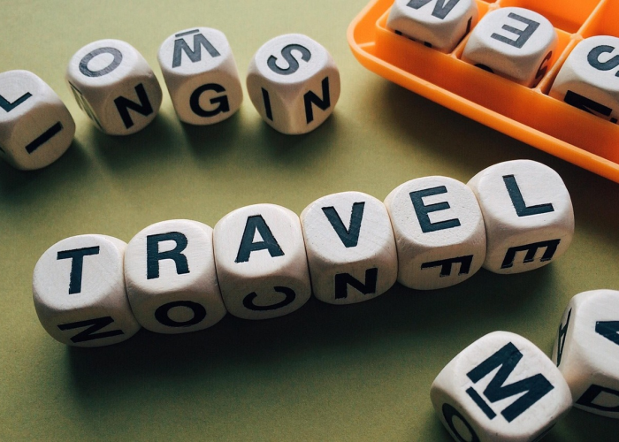 两万零四百零九例归途：输入病例背后的人类迁徙与无形长城