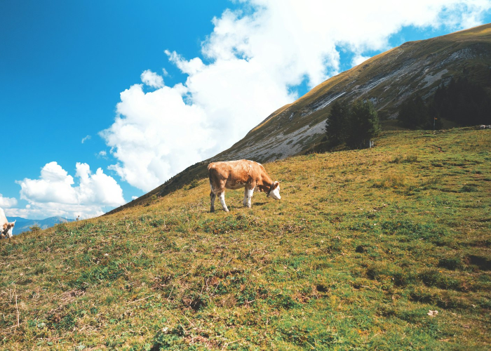 精准防控下的城市新常态，石家庄防疫最新情况 Z