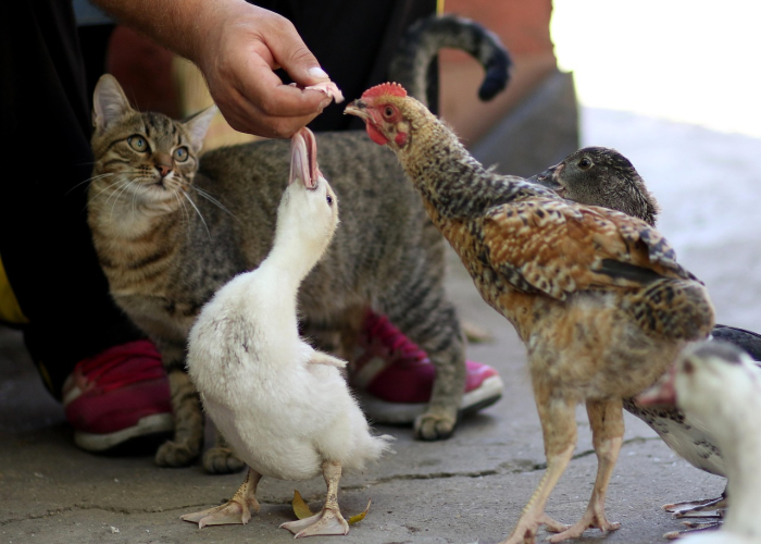 (一个被忽略的超级传播者正在悄悄行动)，广西37例！！本土45例背后