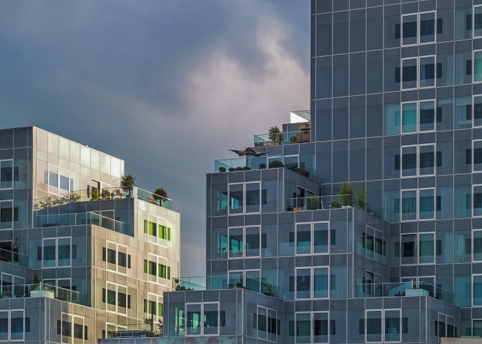 37例感染与一片茶园：蜱虫叮咬背后，一个省份的免疫网络被重新测试