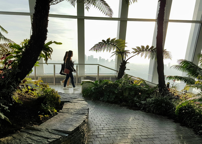 106条轨迹印记：成都疫情下的城市脉动与生命图谱