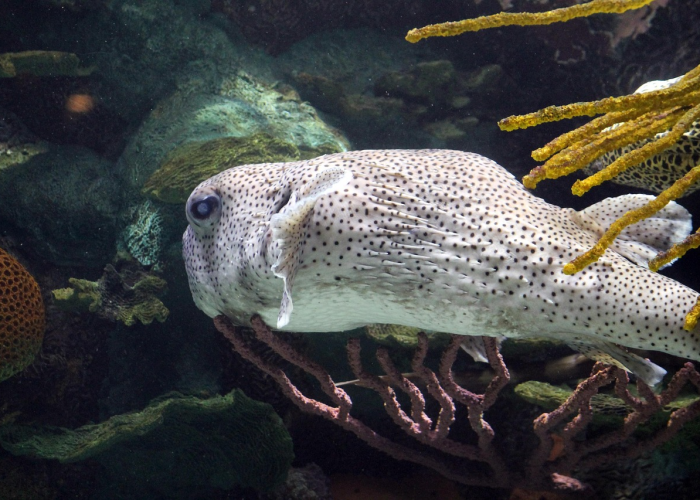 黄河之滨的坚韧与微光、兰州战疫记