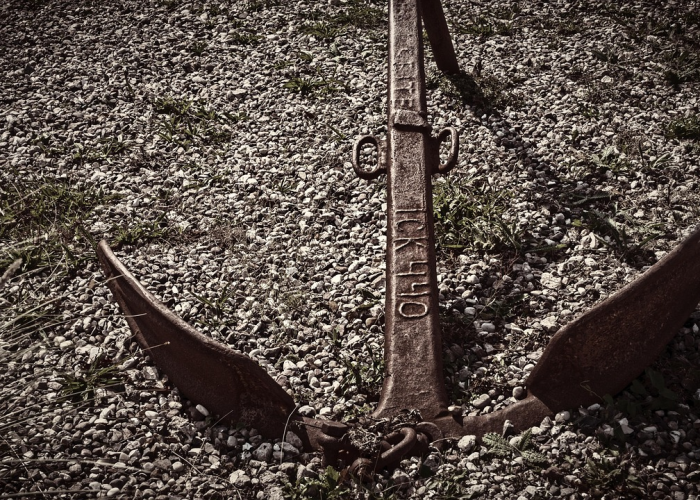 一座座城市的呼吸与脉搏；数字背后；浙江新增本土确诊54例 69