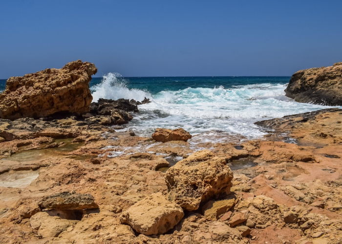 1例疑似阳性的守望：超大城市治理试金石与生命微光的共鸣