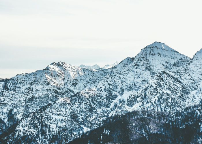 科技防线与气候变局下的无声之战,2024年广东传染病疫情