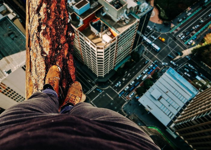 一座城的坚韧与温度,{数字背后},天津新增本土确诊19例