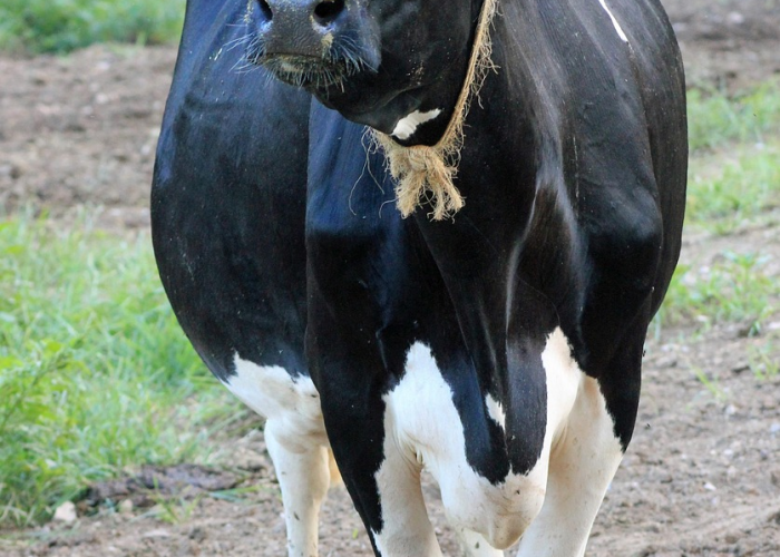 (揭秘盛典背后的时间密码与时代回响)？2021年国庆阅兵几点开始