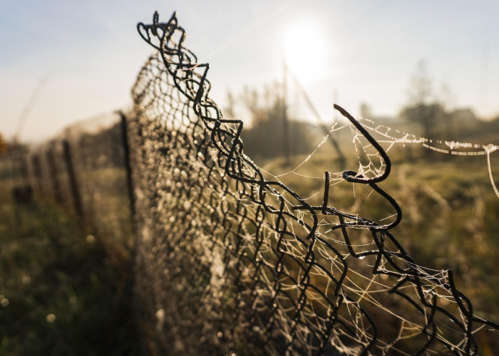 Q 是160个被改写的人生，数字背后，昨日浙江新增本土阳性160例 35