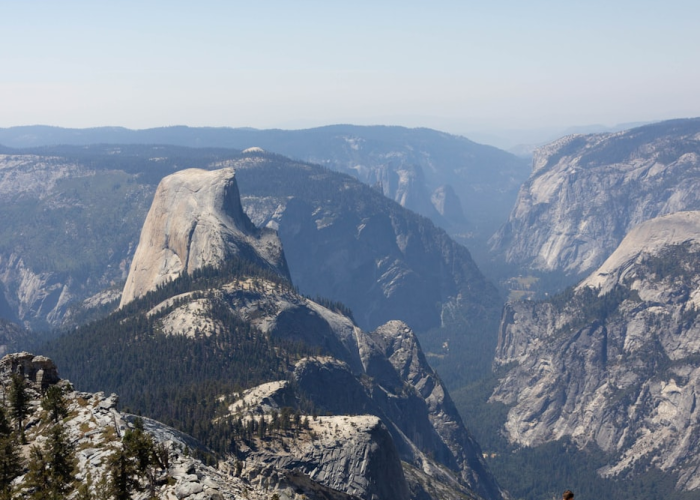 更是城市经济的数字神经中枢,【不只是查企业】,天津市场监管委官网