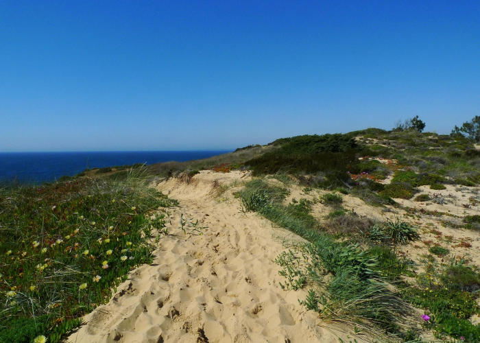 牡丹江新增5例无症状感染者：沉默的涟漪，城市免疫系统的微观试炼