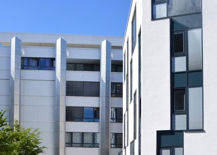 （一场集体心理投射的全民大讨论）,春节假期15天谣言背后 57