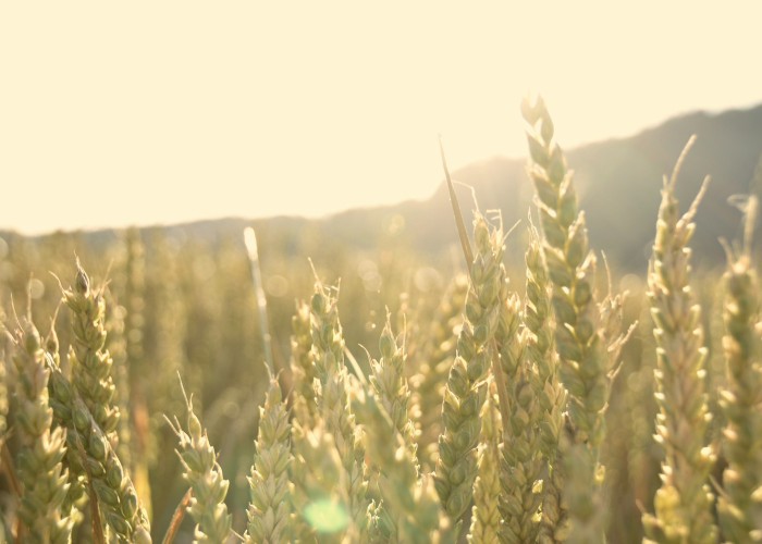 是3680万人的日常坚守、数字背后、{云南新增本土确诊10例} 61