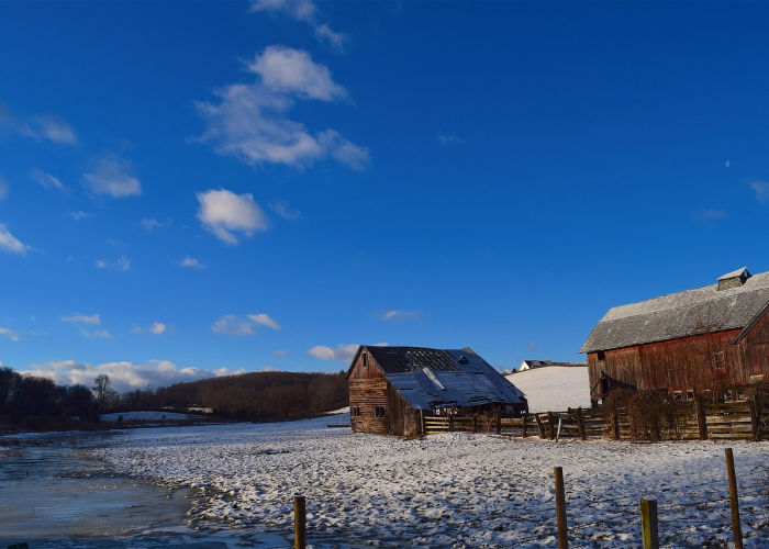 2021年疫情封路背后的治理逻辑与人文温度,封路与破局