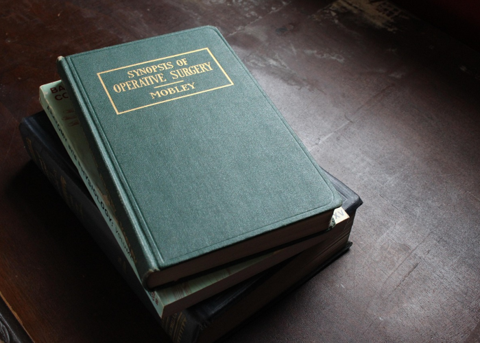 [我们怀念的究竟是什么¿],当武侠美学在像素间绽放,流星蝴蝶剑必杀