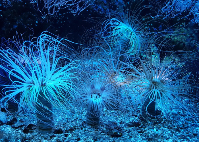 R 6例本土病例敲响的防疫警钟与集体韧性、31省新增11例确诊背后 R 6例本土病例敲响的防疫警钟与集体韧性、31省新增11例确诊背后