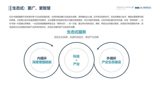 【专业揭秘】出黑技术：如何高效处理被黑网站不出款问题