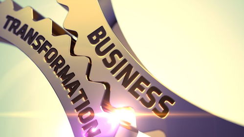 系统维护提现不了？揭秘常见原因及应对策略