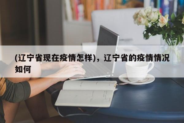(辽宁省现在疫情怎样)，辽宁省的疫情情况如何